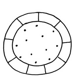 饼干简笔画