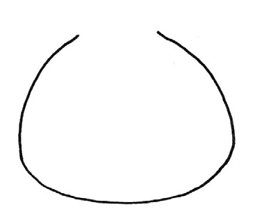 包子简笔画