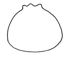 包子简笔画