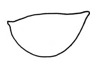 饺子简笔画