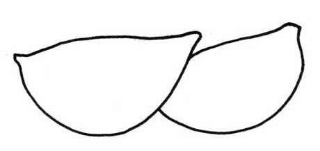 饺子简笔画