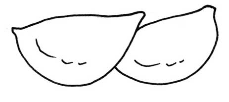 饺子简笔画