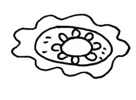 烧麦简笔画
