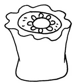 烧麦简笔画
