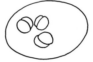 意大利面简笔画