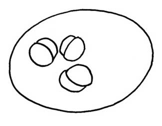 意大利面简笔画
