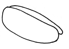 三明治简笔画