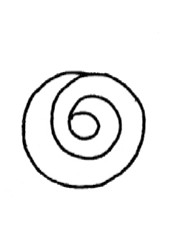 玫瑰简笔画