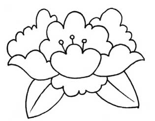 牡丹简笔画