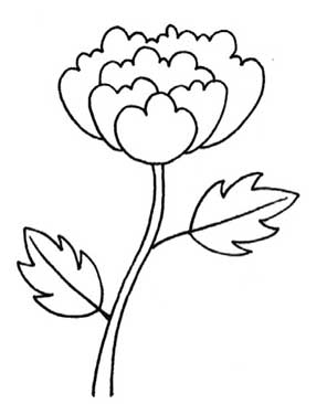 牡丹简笔画