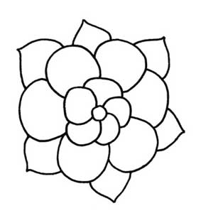 茉莉简笔画