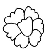 康乃馨简笔画
