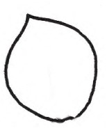 胸针简笔画