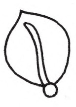 胸针简笔画