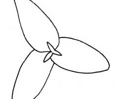 百合简笔画