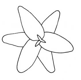 百合简笔画