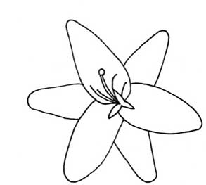 百合简笔画