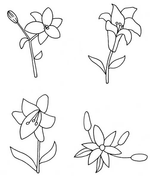 百合简笔画