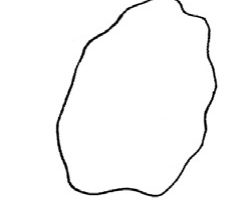 喇叭花简笔画
