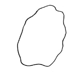 喇叭花简笔画