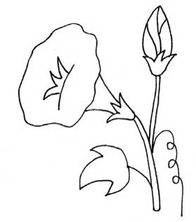 喇叭花简笔画