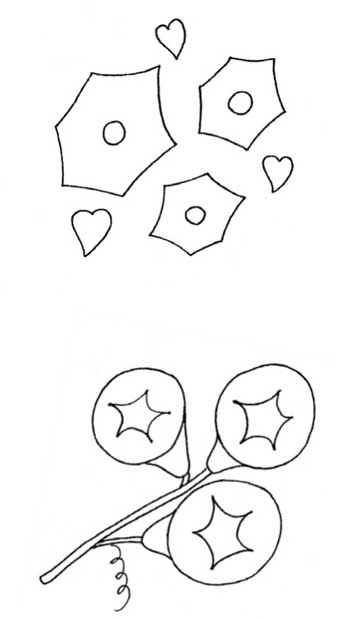 喇叭花简笔画