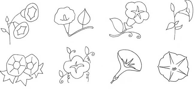 喇叭花简笔画