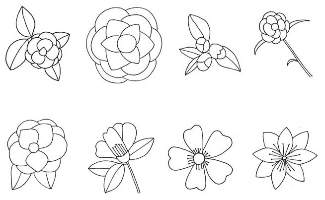 山茶花简笔画