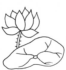 荷花简笔画