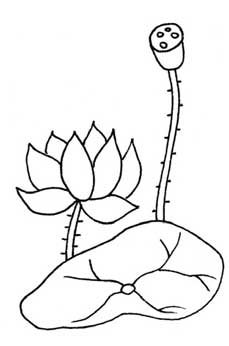 荷花简笔画