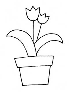 郁金香简笔画