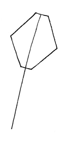 散尾葵简笔画