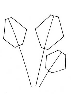 散尾葵简笔画