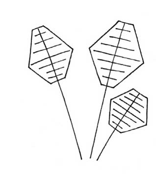 散尾葵简笔画