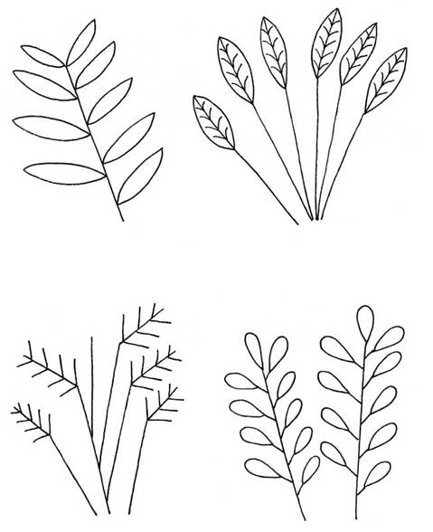 散尾葵简笔画