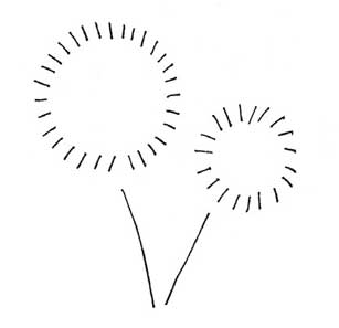 蒲公英简笔画