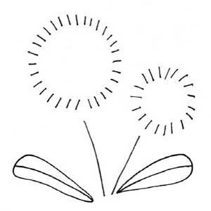 蒲公英简笔画