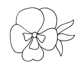 三色堇简笔画