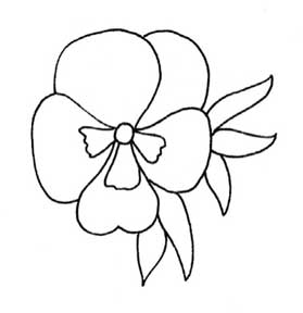三色堇简笔画