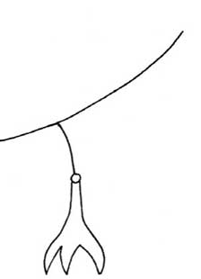 倒挂金钟简笔画