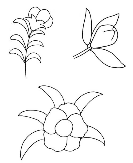 石榴花简笔画