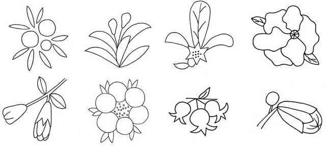石榴花简笔画