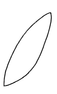 铃兰简笔画
