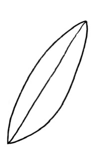 铃兰简笔画