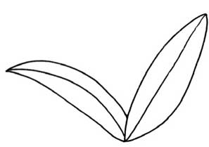 铃兰简笔画
