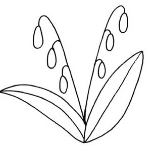 铃兰简笔画