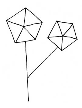 桔梗花简笔画