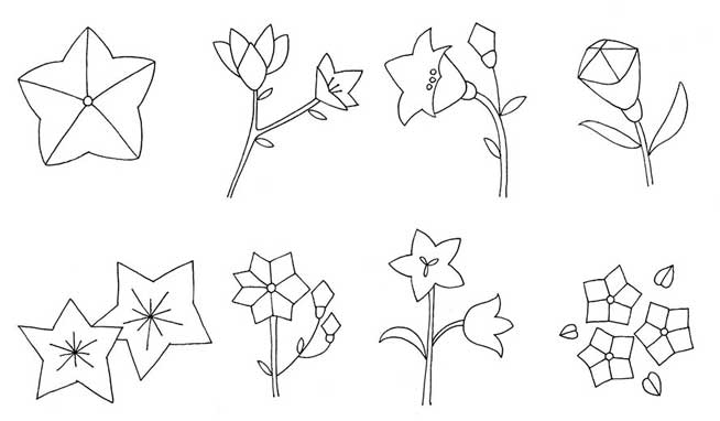 桔梗花简笔画