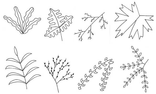 蕨类植物简笔画