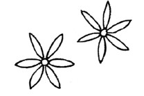 石蒜简笔画
